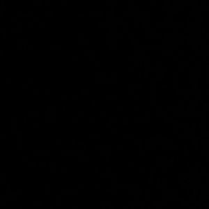 Meet your Posher, Tisha